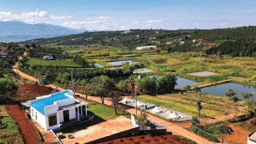 cap nhat gia dat da lat moi nhat 2025  co nen dau tu